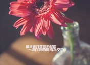 一路风景一路心情的说说